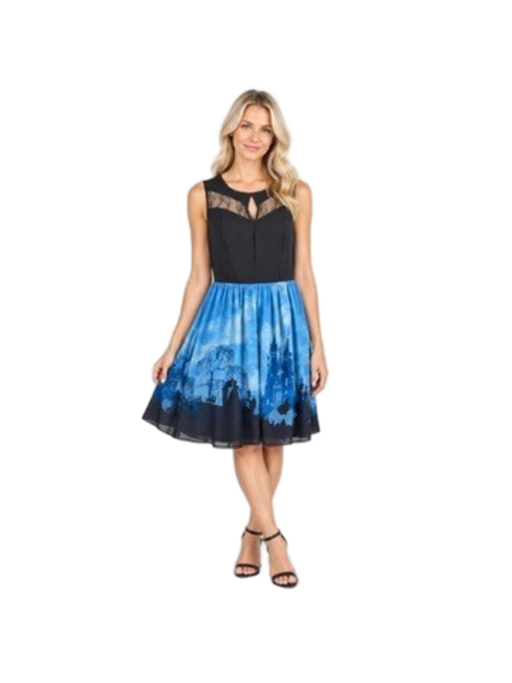 Disney Cinderella Silhouette Dress Size 14 Lace Bodice Chiffon Border Print
